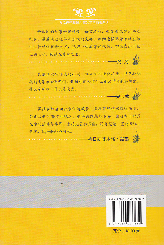 考试书籍 河底的秘密--风铃草.原创文学精品书系
