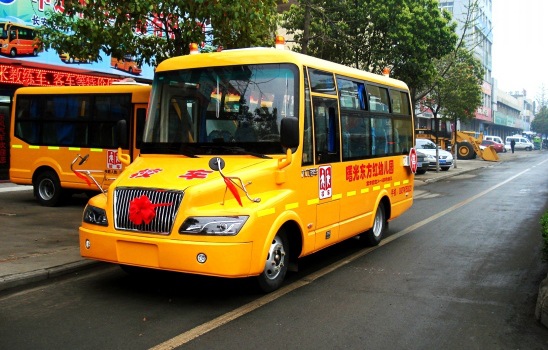 大力牌dlq6668hx4型小学生专用校车 大力33座小学生校车