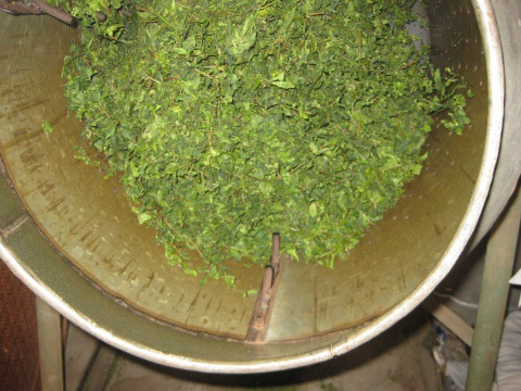 打散机)压缩后,打散,再包揉,这样反复进行.