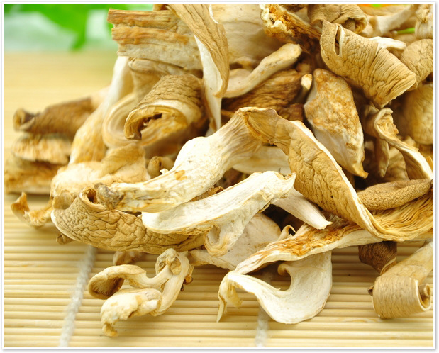 森宝源东北平菇有机平菇干货200g礼盒