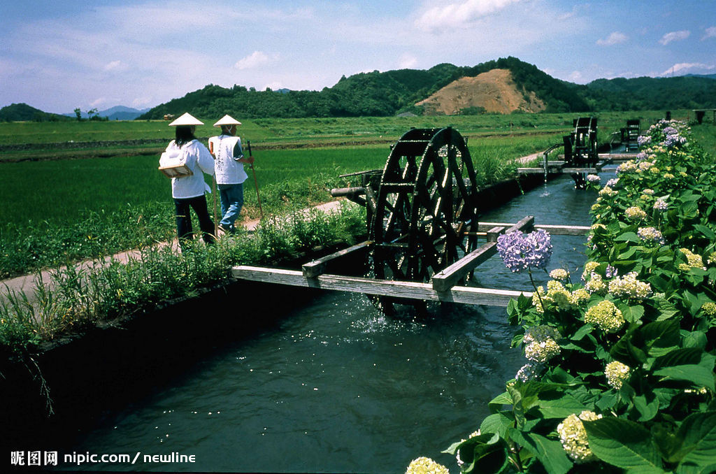 承接景观实木质流水水车|景观黄河水车