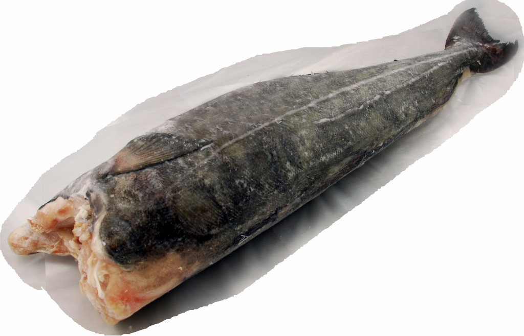 【大西洋银青鳕鱼 -- 去头去脏】价格,厂家,图片,鲜活/冷冻水产,广州