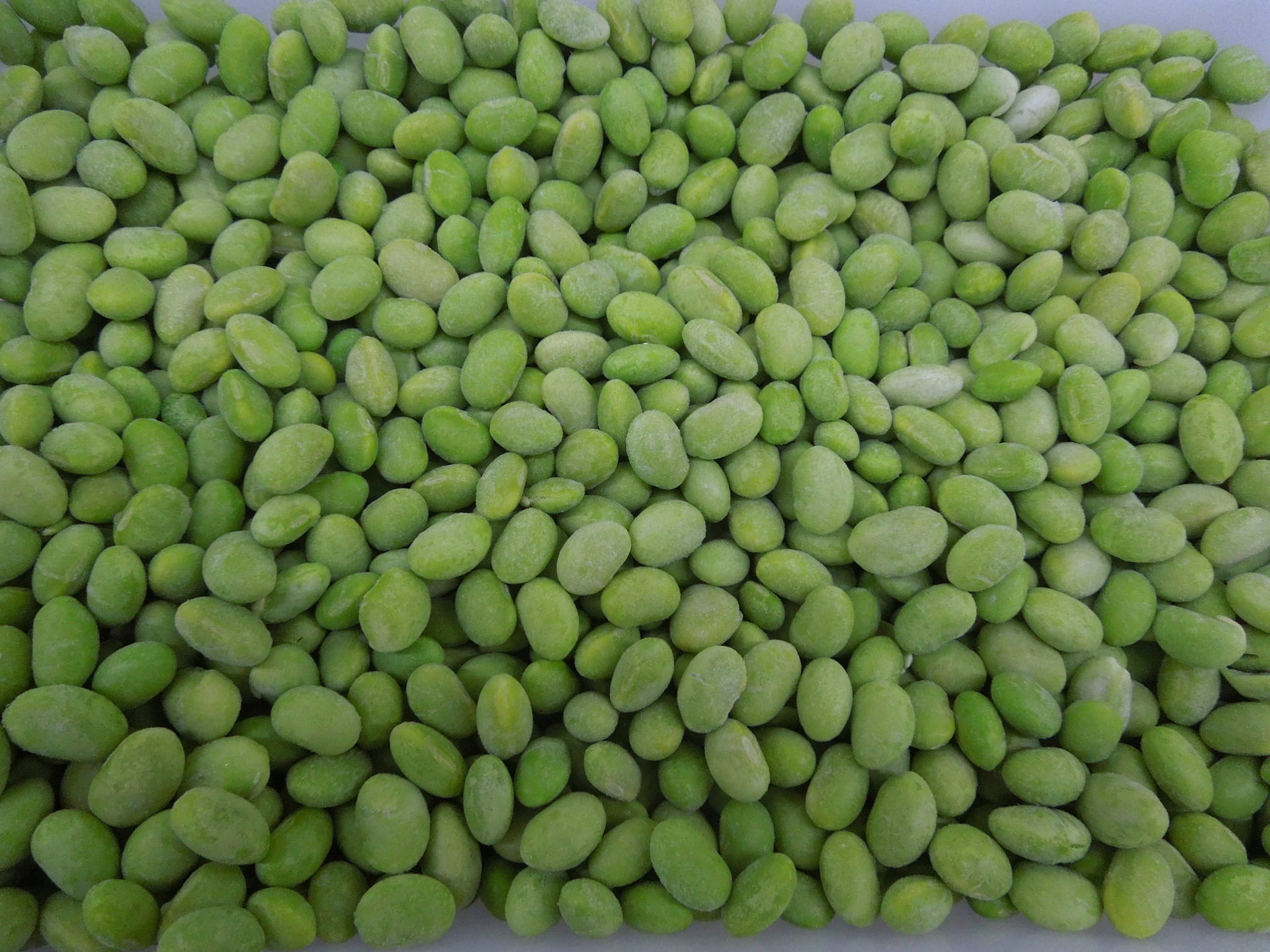 厂家批发供应 冷冻蔬菜出口 速冻毛豆仁 正品 内销一吨起批