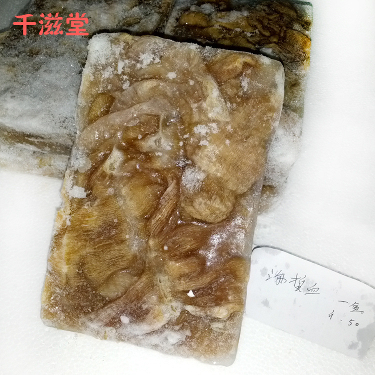 厂家专业生产销售 优质正品新鲜海蜇血 优惠供应 欢迎咨询