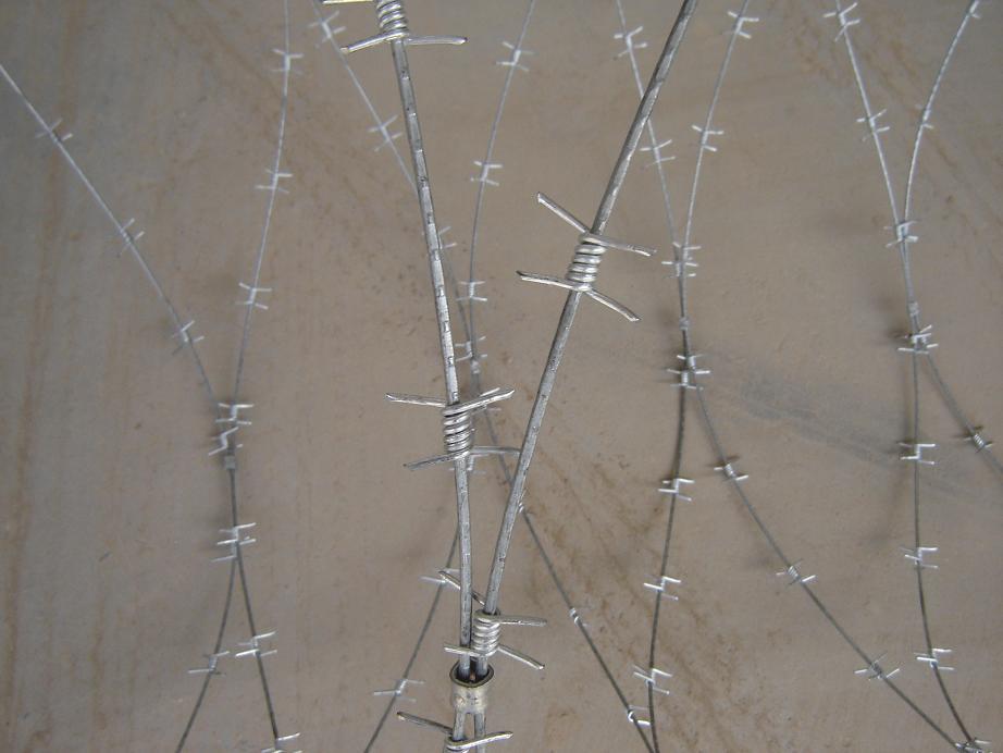 防护刺绳,铁丝刺