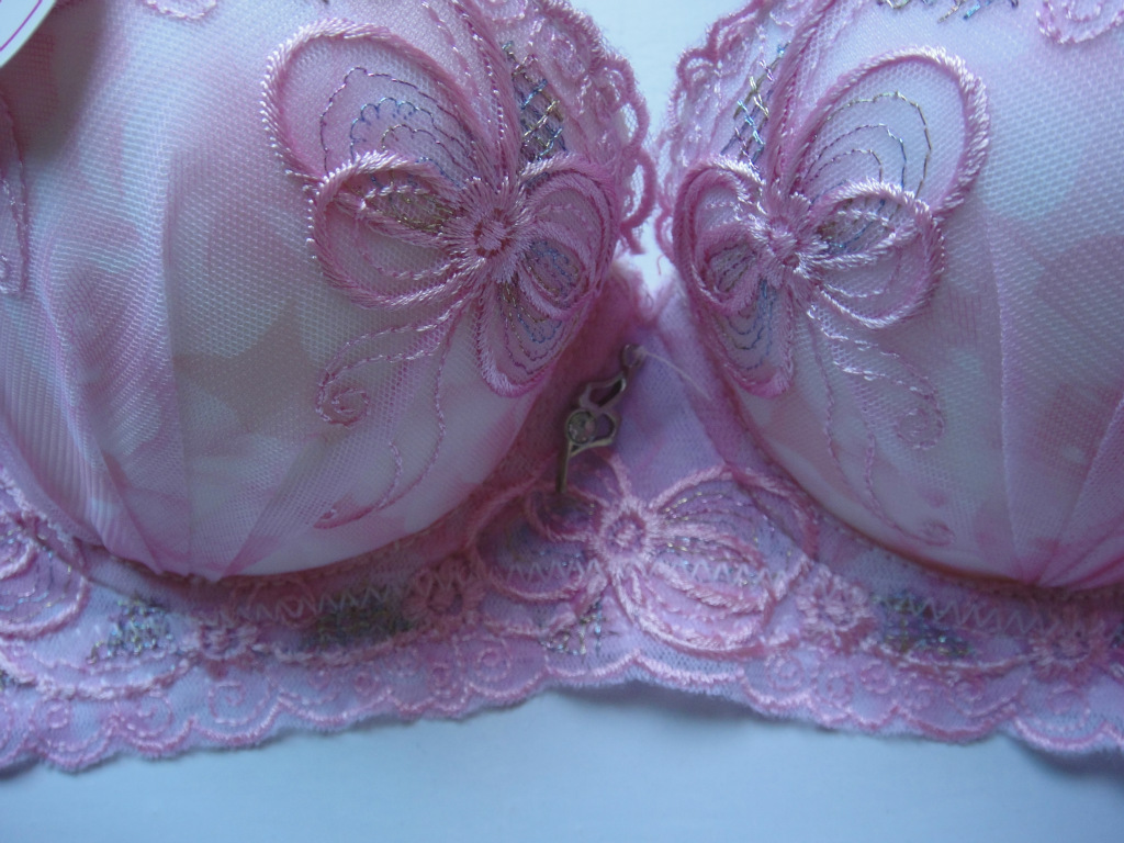 刺绣文胸 软托无磁文胸 少女文胸批发