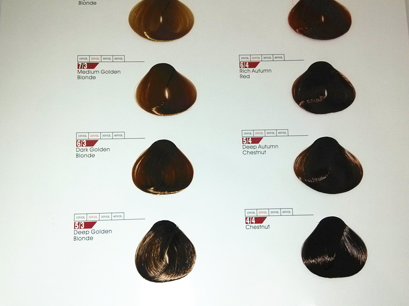 厂家直销新款欧莱雅美丝雅系列染发膏120支件染发剂100ml