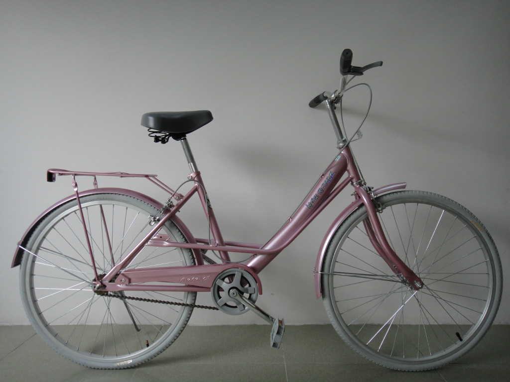 24寸爱美神淑女车