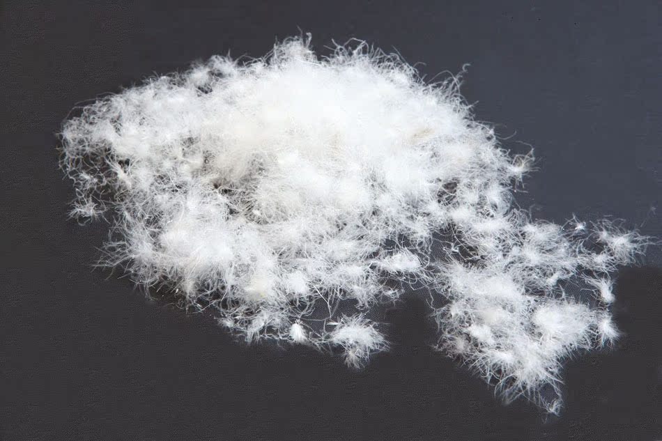 尚爱羽绒 新国标羽绒90%水洗白鸭绒 高蓬松度水洗白羽绒 白鸭绒