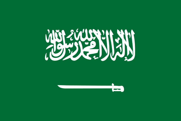 嘉兴国际快递ems国际快递直发沙特阿拉伯saudiarabia
