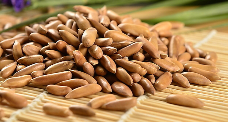 批发供应巴西松子仁袋装500g迷你小袋装坚果炒货年货特价买