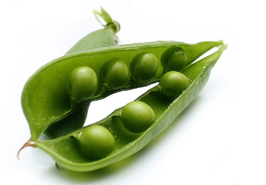 其他蔬菜 无公害绿色荷兰豆 甜豌豆  &nbsp;&nbsp; 豌豆别名荷兰豆