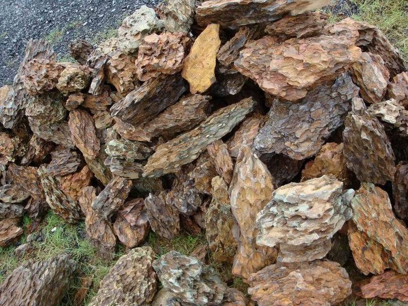 鱼缸造景石虎皮石龙骨石批发木化石松皮石原产地批发直
