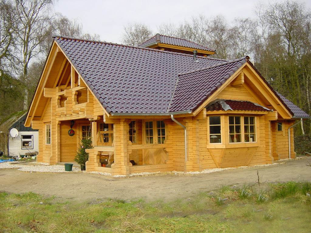 景观木屋 休闲紫色木屋图片_6