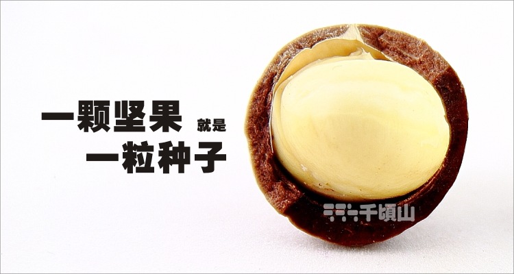 千顷山特产奶油味中颗夏威夷果休闲零食10斤散装特价批发