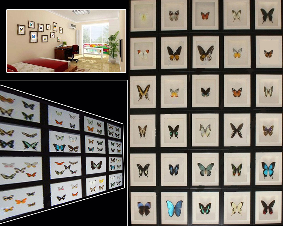 24只蝴蝶墙贴造型图图片