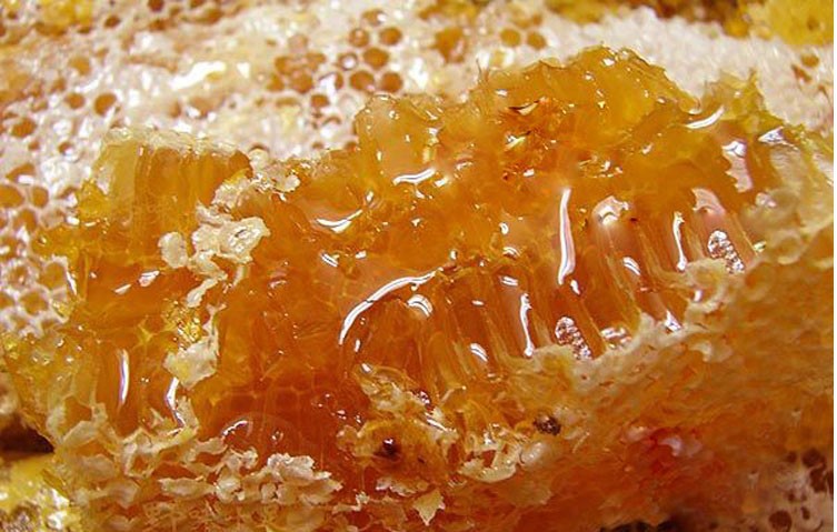 野生蜂蜜 纯天然百花蜜 深山土家蜜 自产自销 结晶 绝不掺假1kg