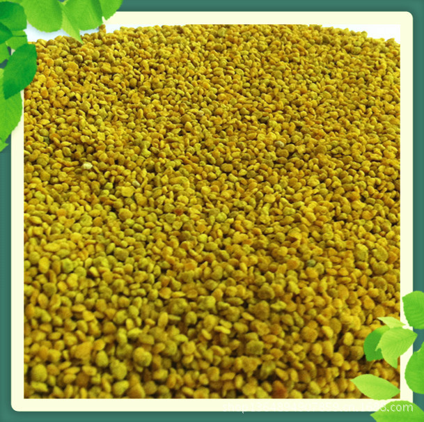 专业花粉供应商 玉米花粉 降压效果好 散装蜂花粉 蜂产品批发