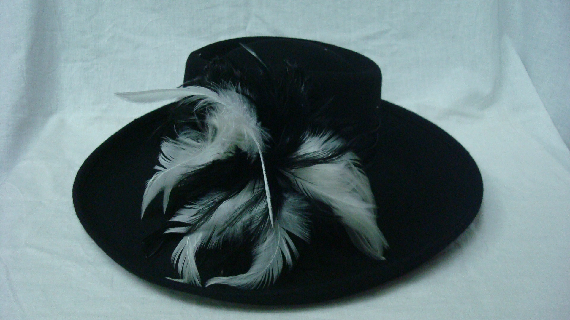 潮流秋冬新款女毡帽 时装毡帽 羊绒帽 秋冬毡帽 礼帽