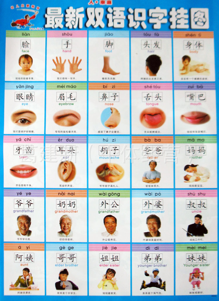 幼儿童挂图 宝宝挂图认知启蒙 婴儿早教挂图无声看图识字两元商品