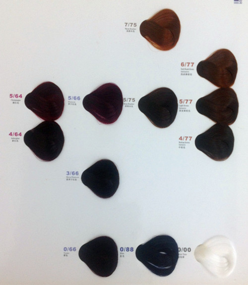 中山佳丽 l利威丝 欧尚专业染发膏80ml