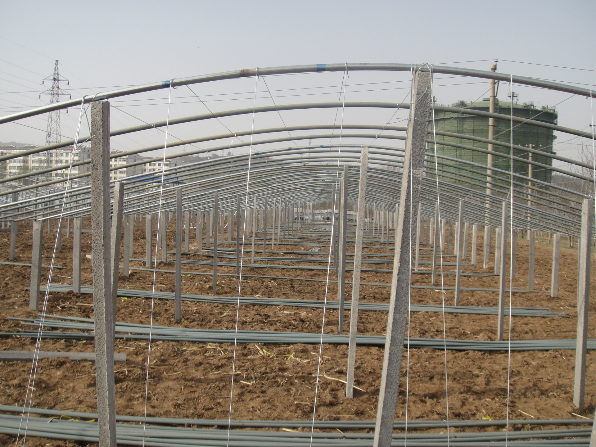 供应春秋拱棚大棚用途多质量好