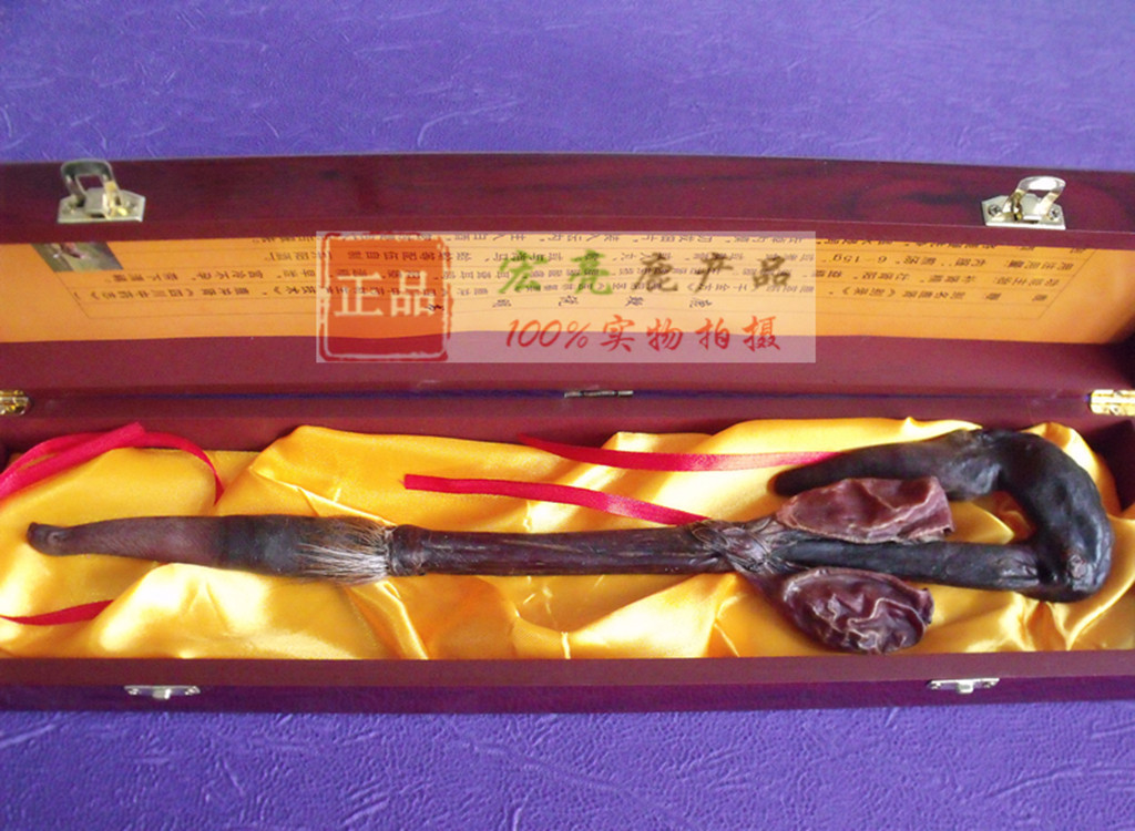 带尾鹿鞭 梅花鹿鞭 批发鹿肾 鹿鞭片