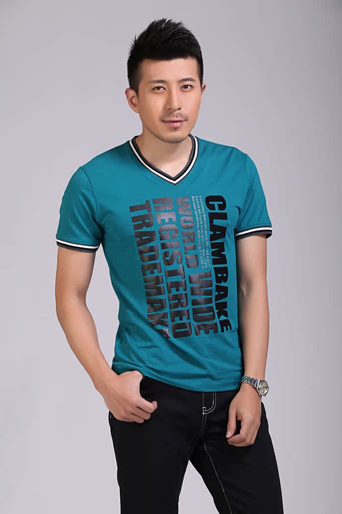 海澜之家t恤 2013男装正品t恤衫男士v领印花短袖t恤 男短t2c040图片_8