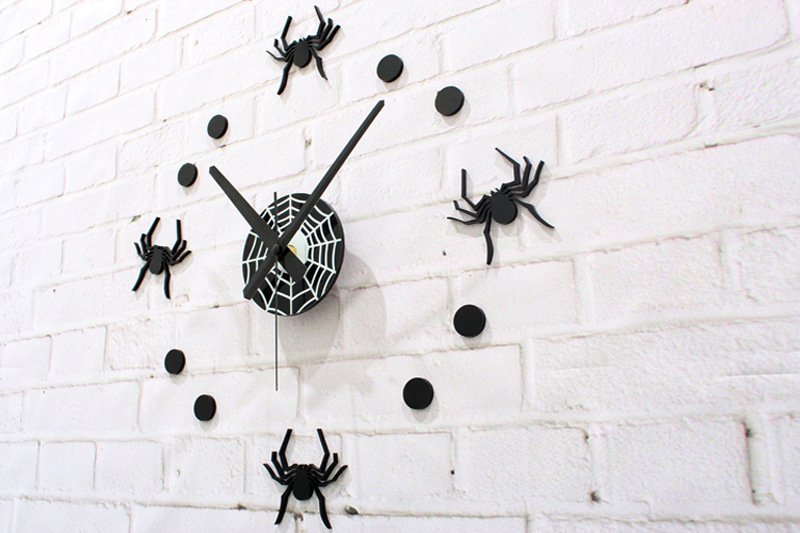时钟蜘蛛照片图片