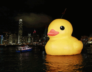 mdisney 迪士尼 香港大黄鸭 儿童节礼物 毛绒玩具