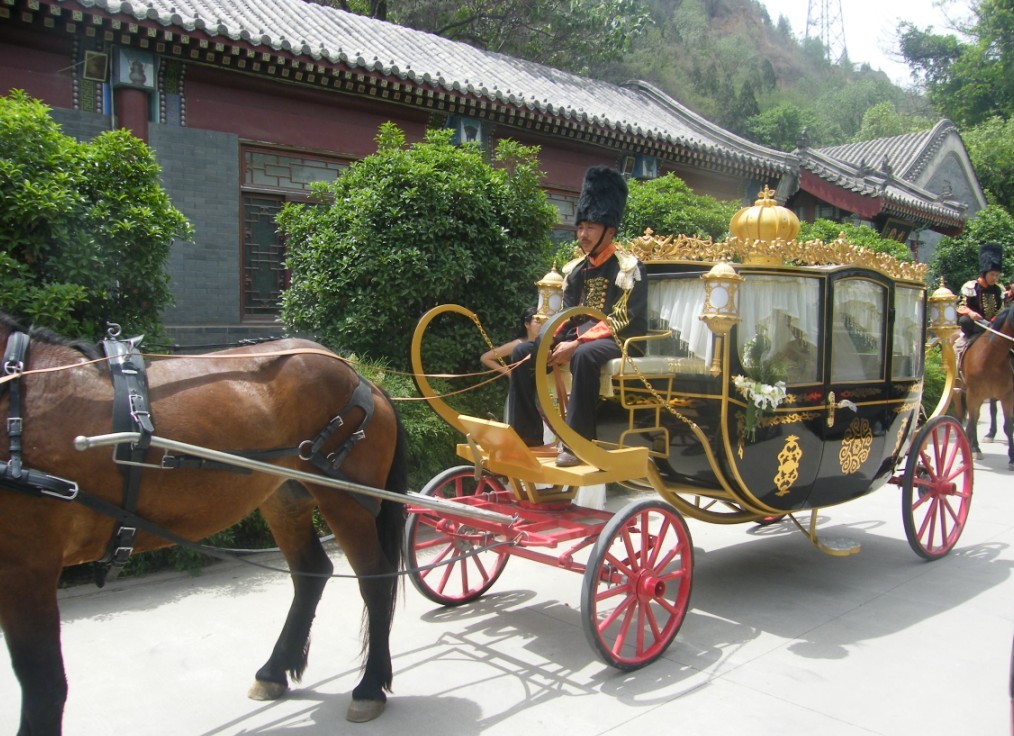 皇家马车--尊享奢华婚礼必备龙驰马车是首选联系电话:18237485689