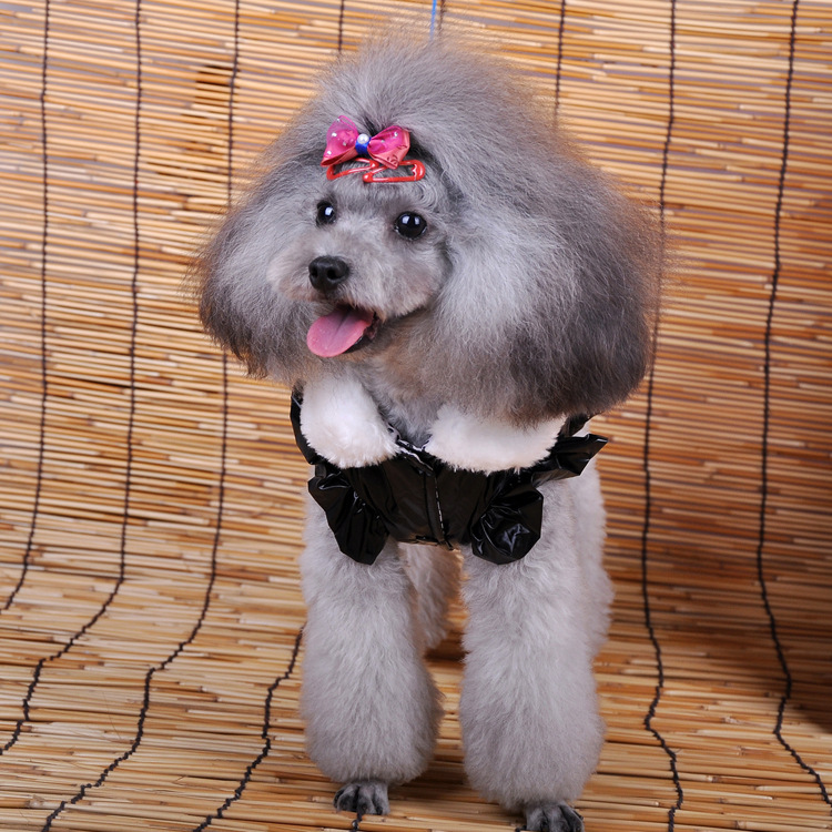 新款狗狗裙子 宠物衣服 宠物服装秋冬装狗衣服 美美冬款裙装-3色图片