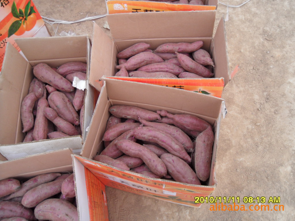 种植历史悠久,面积几十万亩,品种多,早熟型龙薯9,冀薯6-8,8月就可上市