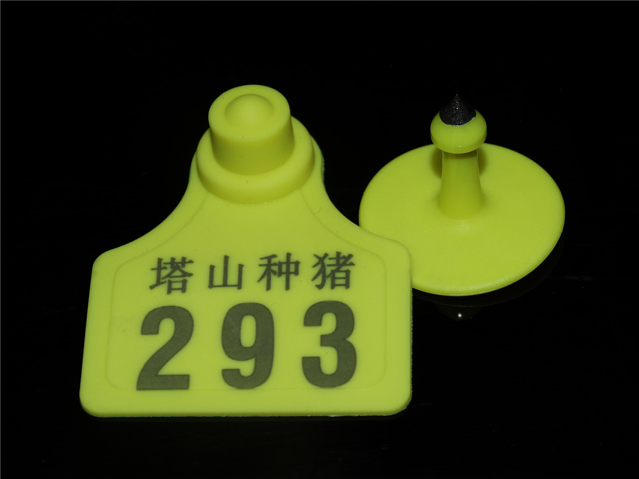 rfid动物电子标签 宠物管理 畜牧管理标签 猪牛羊耳牌 厂家供应