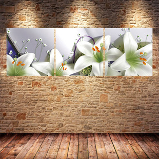 水晶画冰晶画辰无框画装饰画宇玻璃冰晶画批发画业厂家无框h17