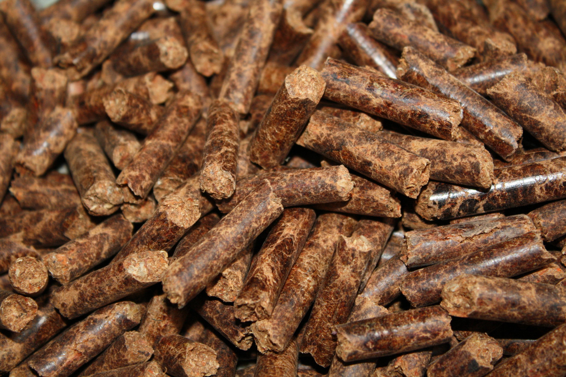 原料辅料,初加工材料 燃料 液体燃料 生物柴油 生物质蒸汽锅炉 蒸汽