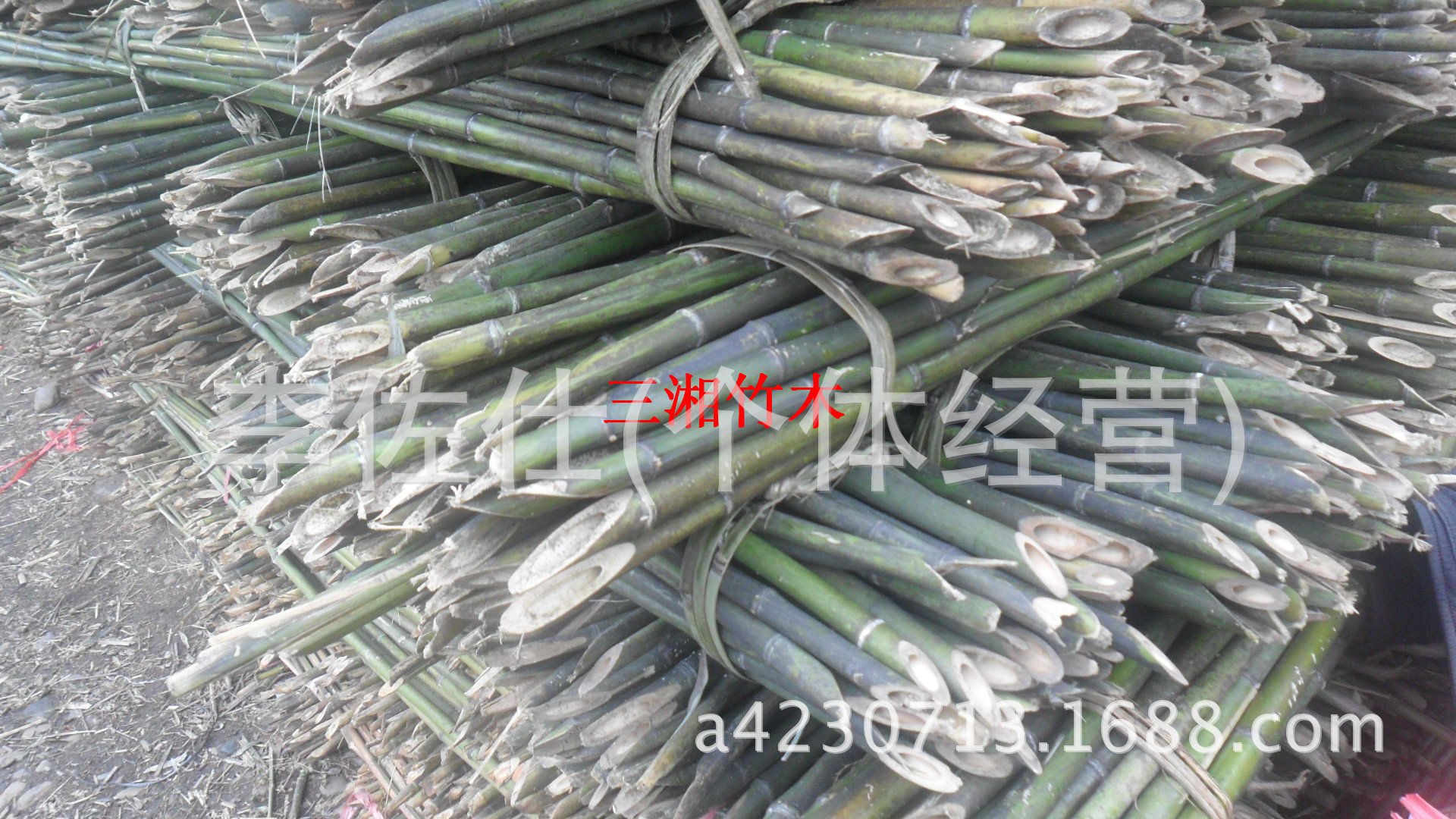 其他农林园艺工具 批发优质菜架竹 批发优质菜架竹,主要品种有湖南