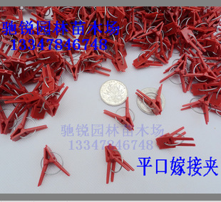 批发优质平口嫁接夹子西瓜嫁接夹茄子甜瓜蟹爪兰通用嫁接夹500克