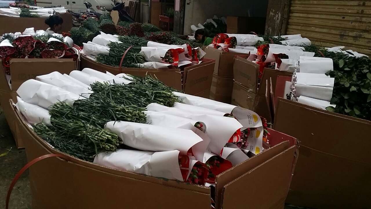 原料辅料,初加工材料 农产品 园艺花卉 鲜花/鲜切花,花艺制品 云南