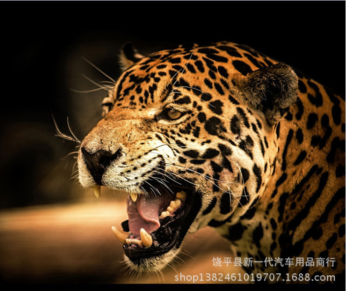 油蜡皮钥匙扣 高级豹头钥匙扣】广东广州厂家直销供应油蜡皮豹头车标