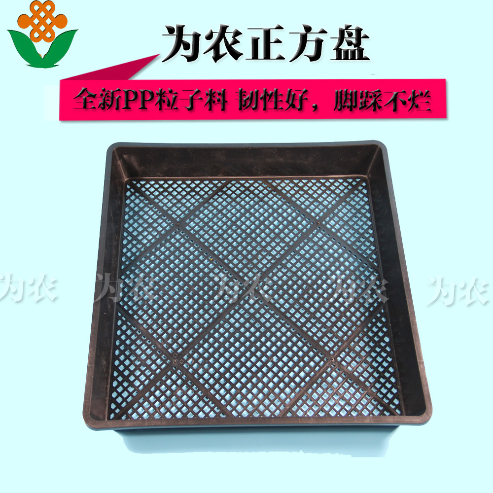 化蛹盘 大麦虫化蛹盘 大麦虫活体 化蛹盒