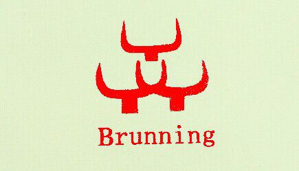 品牌创立时间 2012年11月28日 品牌介绍 brunning是犇牛皮具的注册