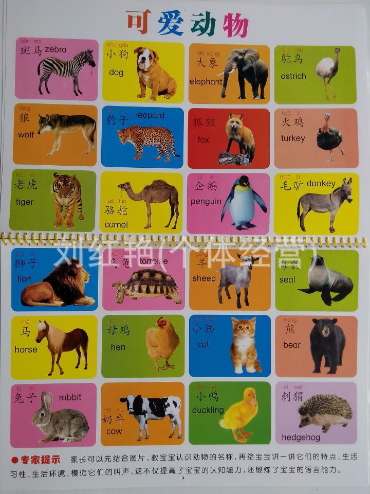 精品推荐 幼儿小精灵启蒙挂图 优质幼儿启蒙图