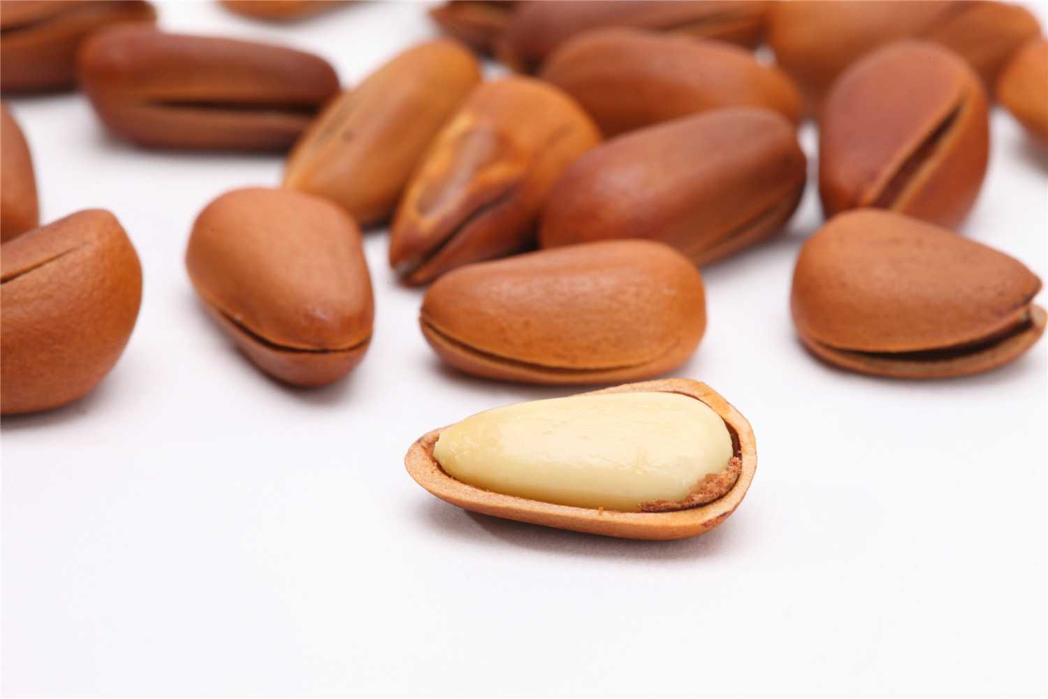 【民果】干果炒货供应 东北松子 松子5kg/箱 厂家直销