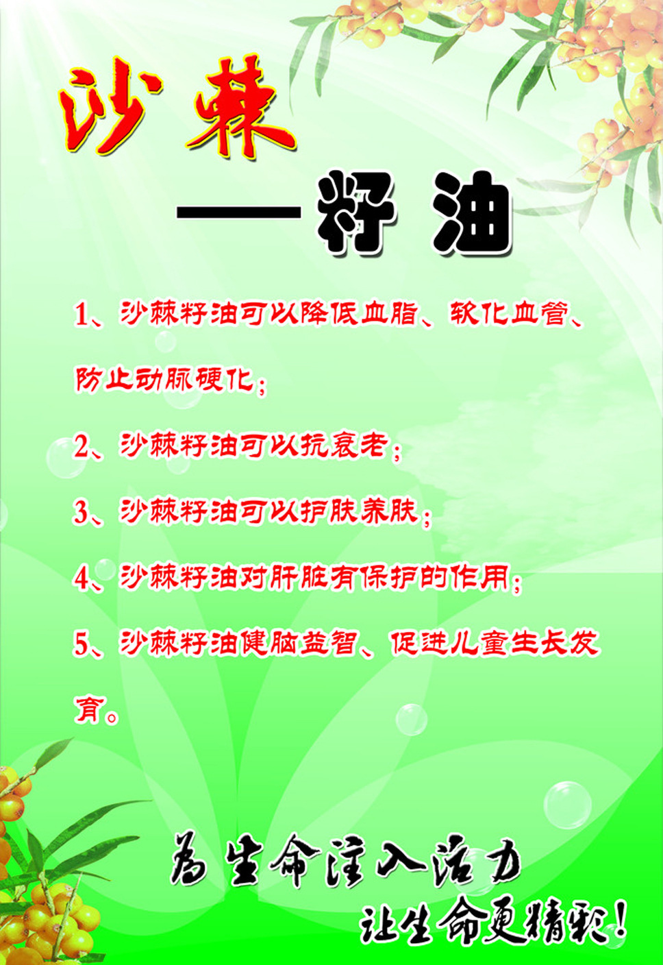 天然植物精油沙棘果(籽)油美容养身圣品化妆品原料厂家直销