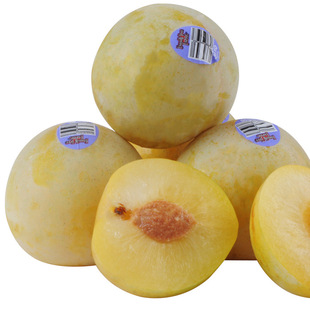 预售进口新鲜水果 美国/智利黄金蛋 黄金李子 开胃佳果约8斤左右