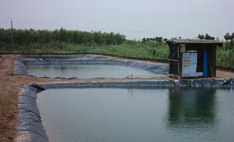 水產養殖膜