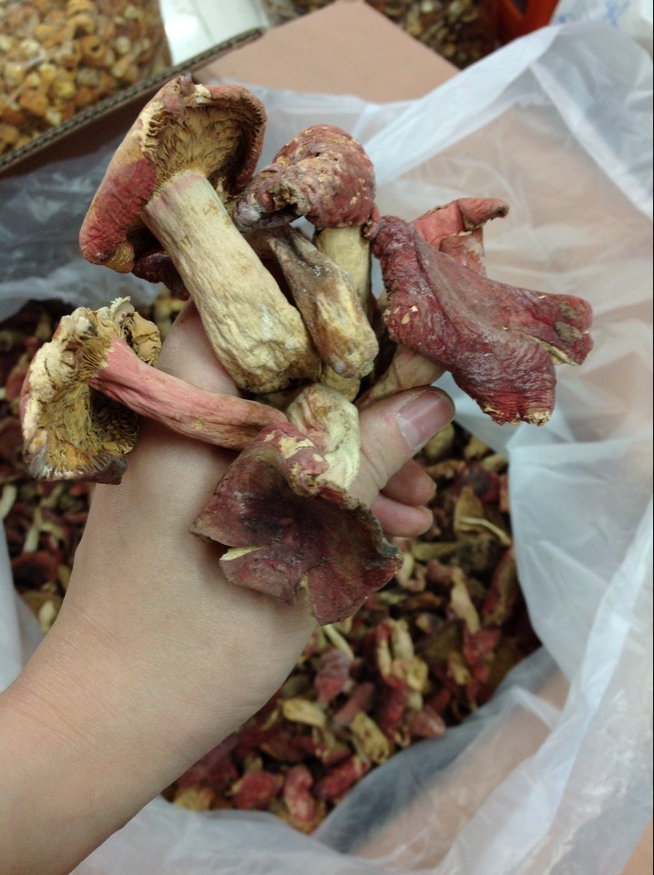 福建特产红菇 正宗野生红菇 食用菌 有补虚养血,滋阴功效