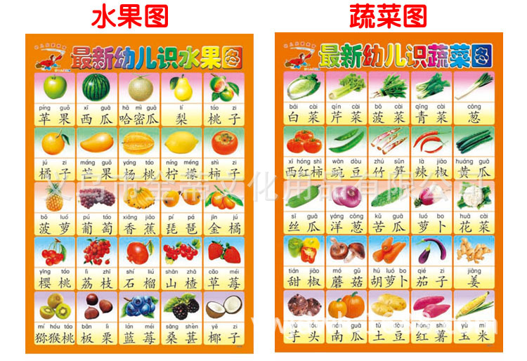儿童早教无声拼音认知玩具幼儿启蒙防水撕不破挂图 食物相克相宜