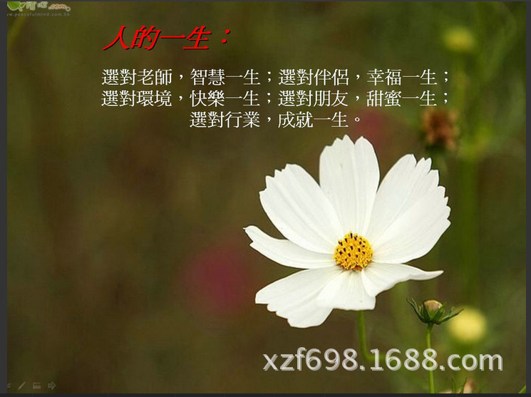 只有懂得适时卸下包袱,才能轻装前行,才能从容面对